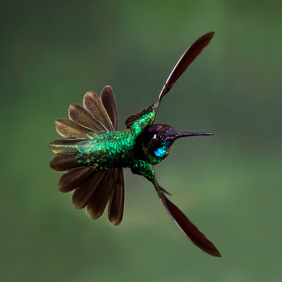 Alajuela, Costa Rica