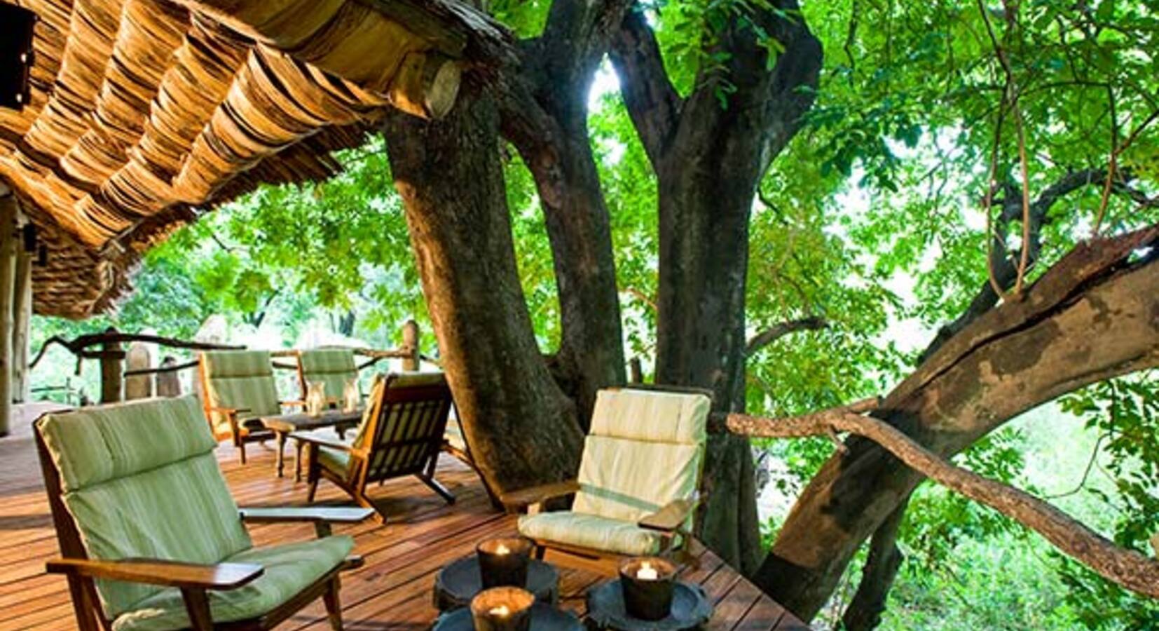Tree House