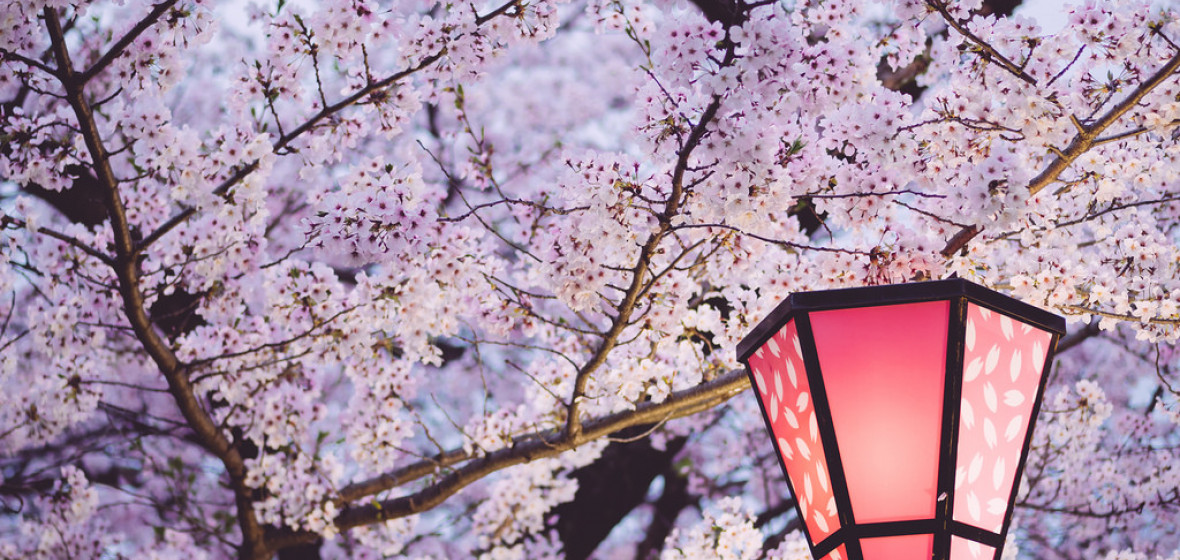 Photo de Osaka