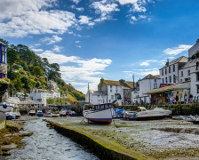 The 15 Best Dog Friendly Hotels in Cornwall