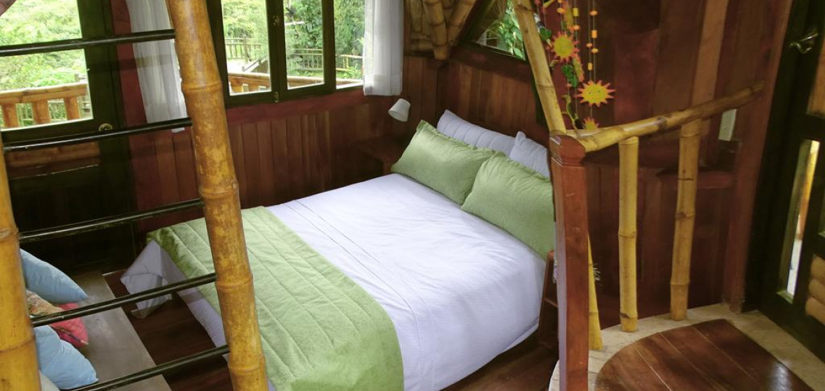 Sacha Lodge, Pichincha Province Review The Hotel Guru