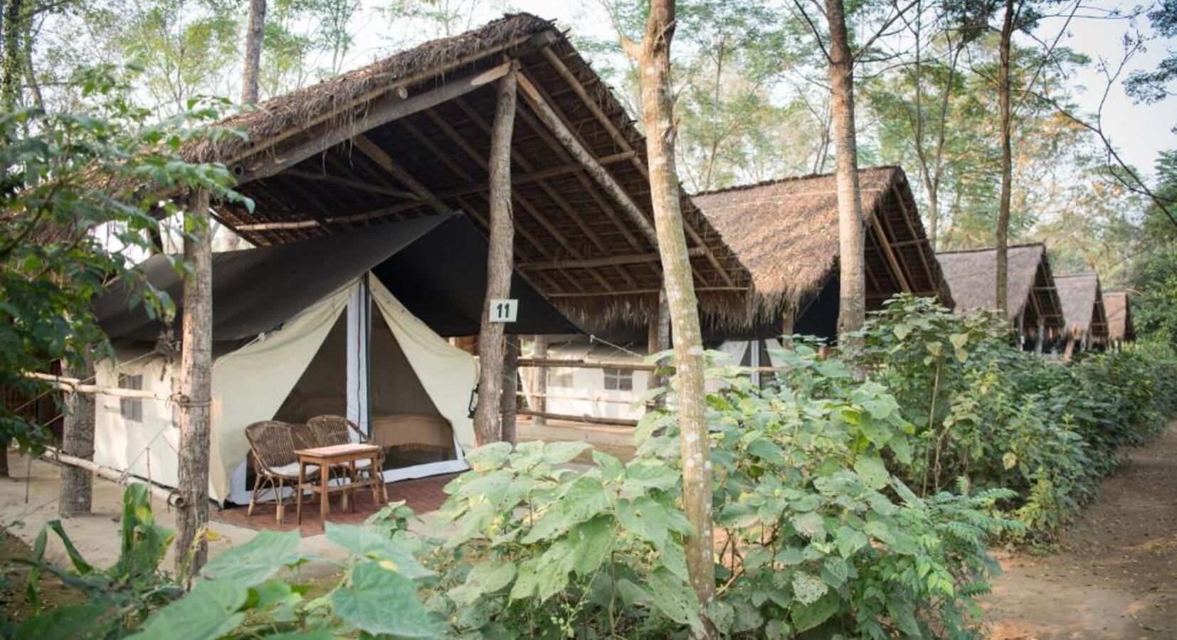 Glamping tents