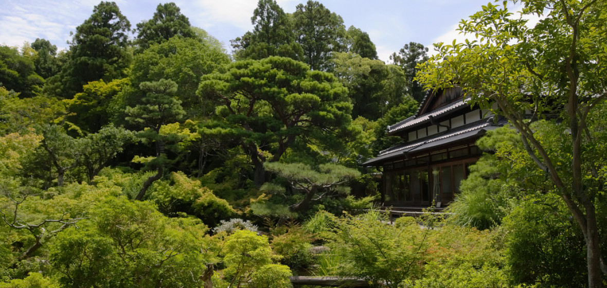 Best places to stay in Nara, Japan | The Hotel Guru