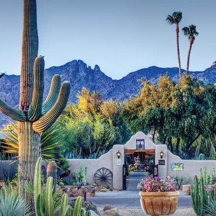 5 Top Tucson Resorts