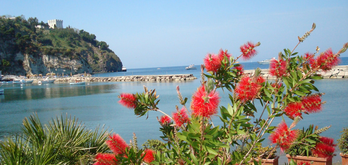 Photo of Ischia