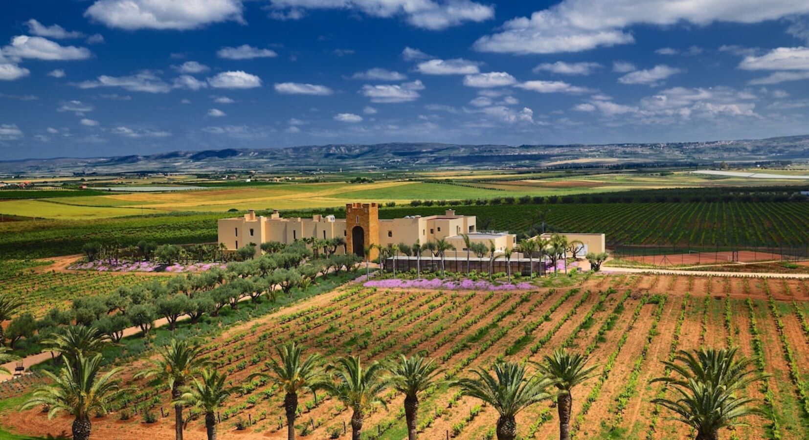 Foto von Chateau Roslane