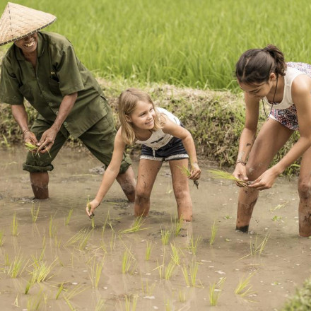 The 11 Best Family Hotels in Bali