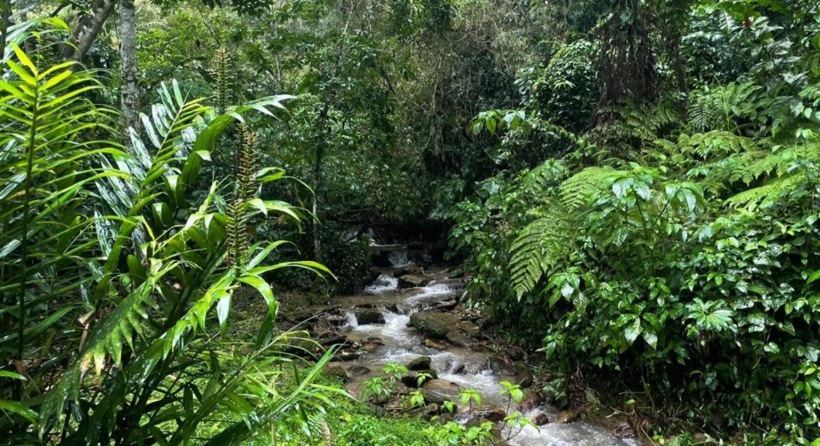 Surrounding area