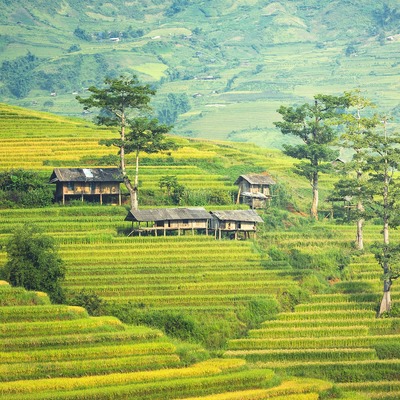 Sapa, Vietnam