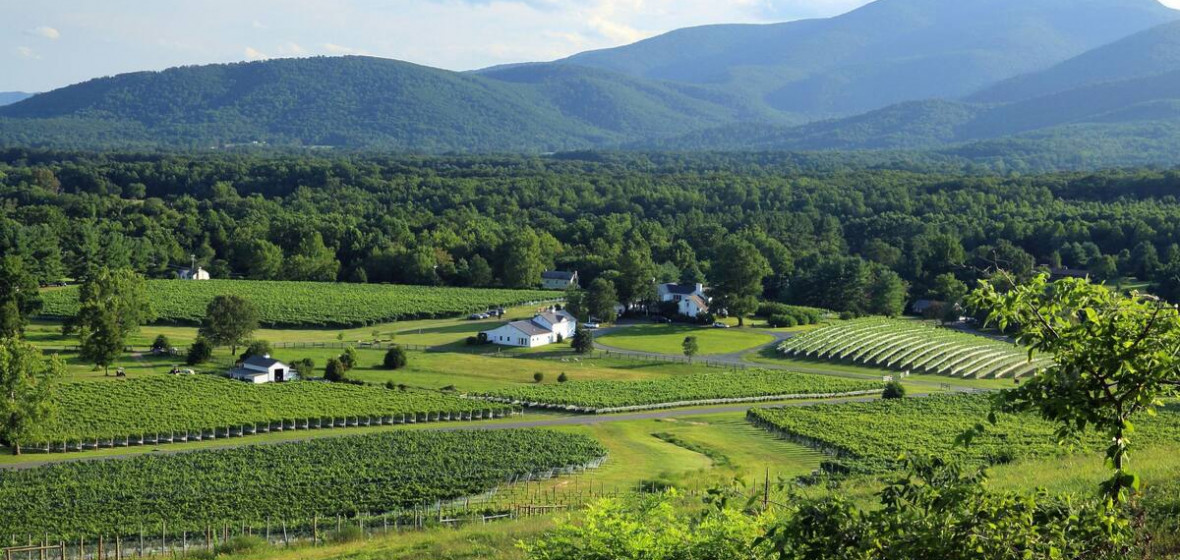 The Farmhouse At Veritas Virginia Afton United States Of America Expert Reviews And Highlights Hotel Guru Farmhouse At Veritas Virginia Afton, Farmhouse At Veritas