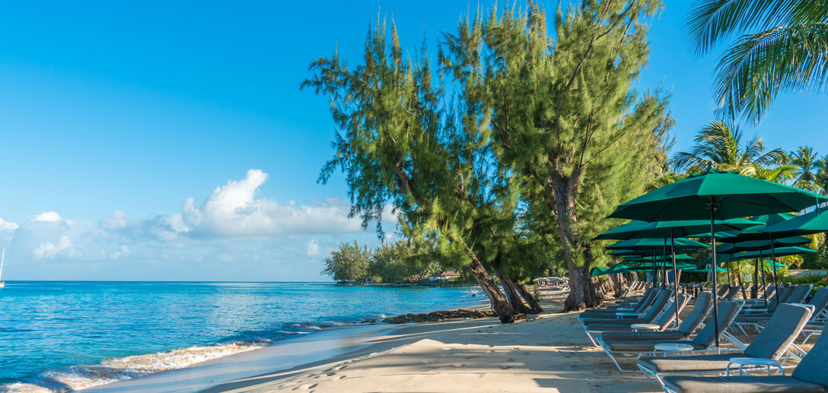 Top 65+ imagen reef club beach resort Abzlocal.mx