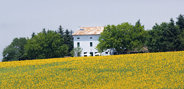 Photo of Casa Azzurra
