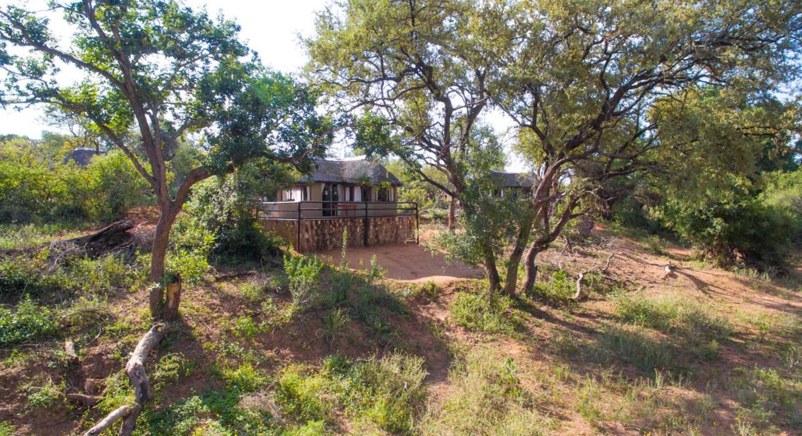 Photo de Baluleni Safari Lodge