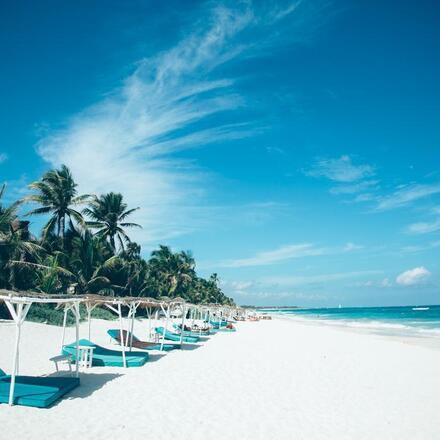 Papaya Playa Project