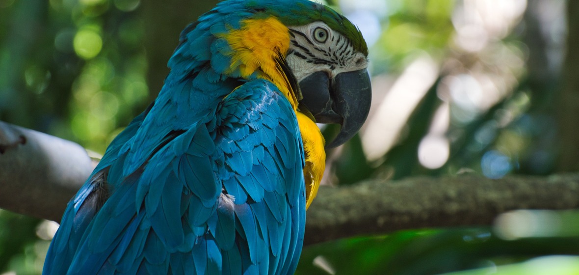 Photo de Costa Rica