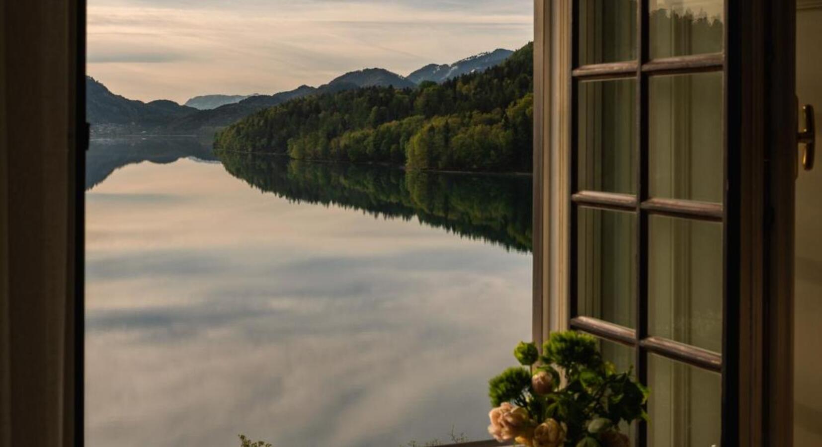 View from bedroom window 