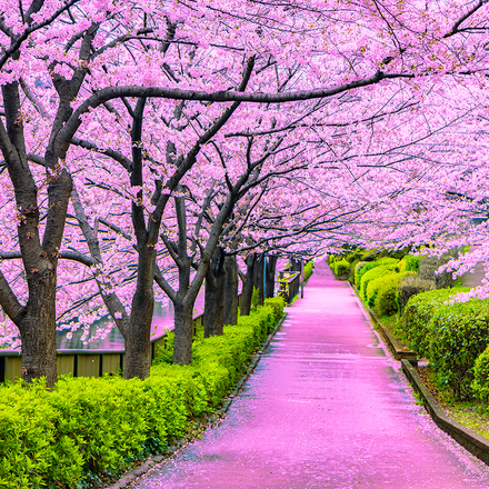 The Best Cities to Visit in April