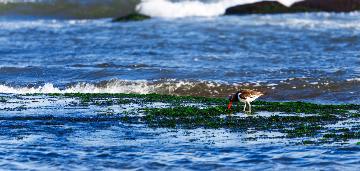 Best places to stay in José Ignacio, Uruguay The Hotel Guru