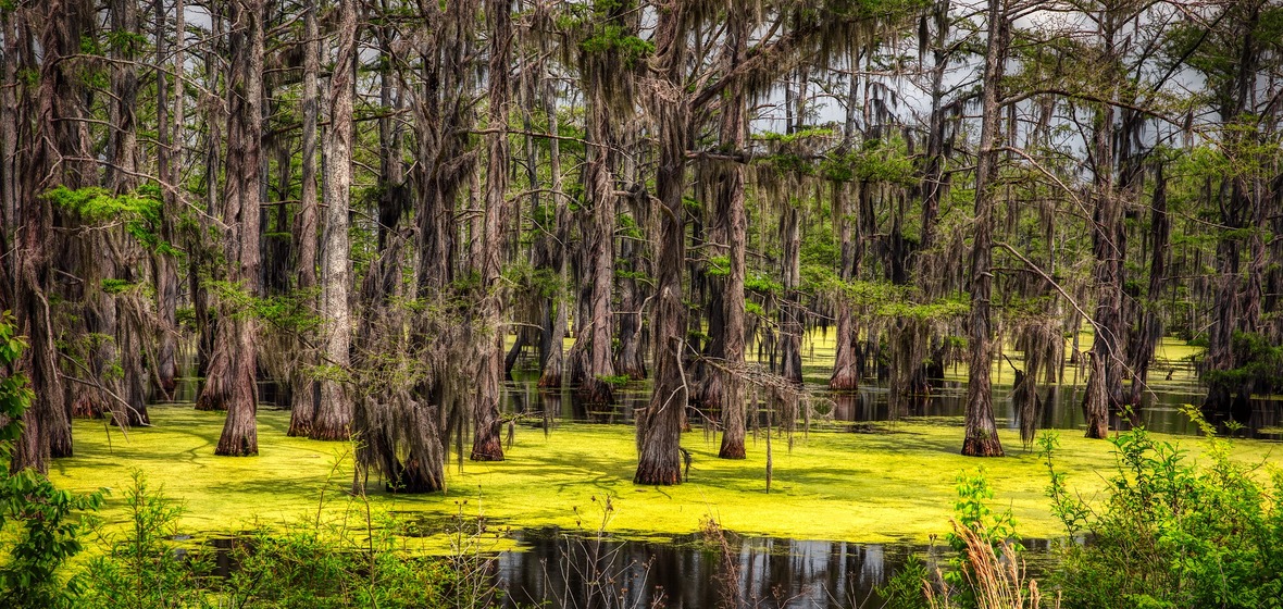 Photo of Mississippi
