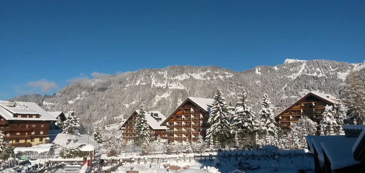 Photo of Vaud