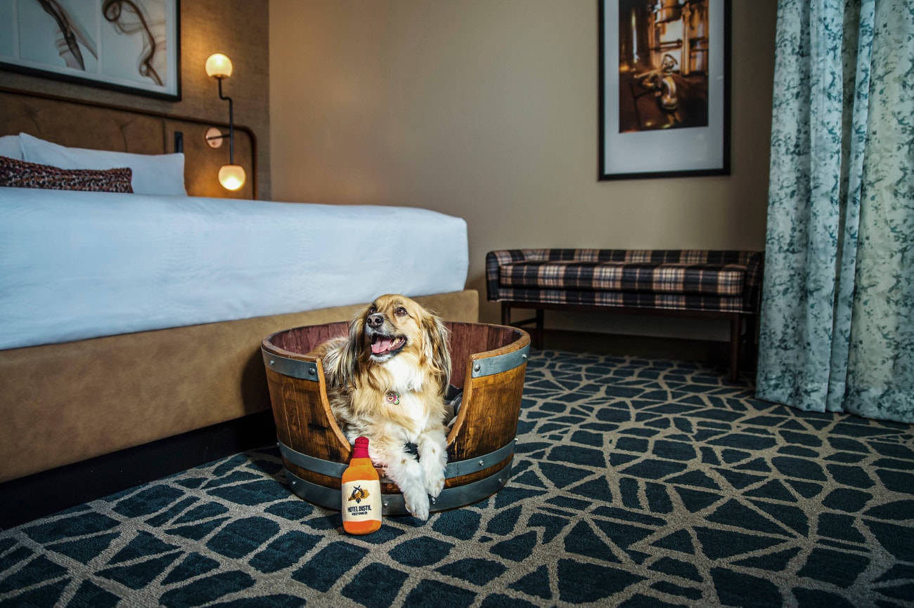 Hotel Distil