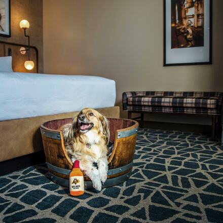 Die 10 besten haustierfreundlichen Hotels in Louisville