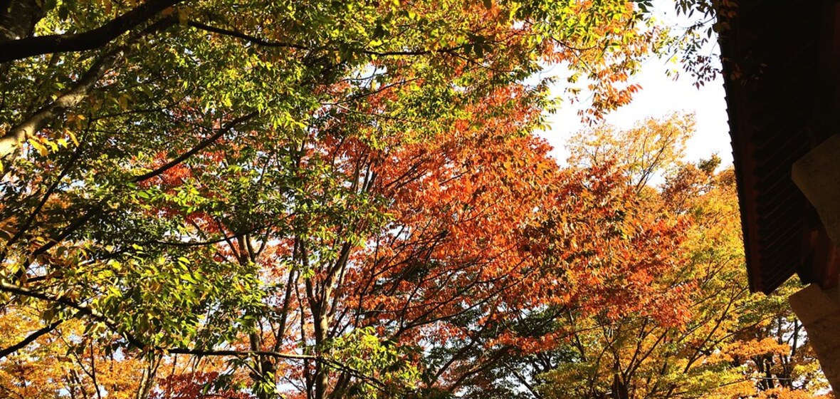 Photo of Nasu