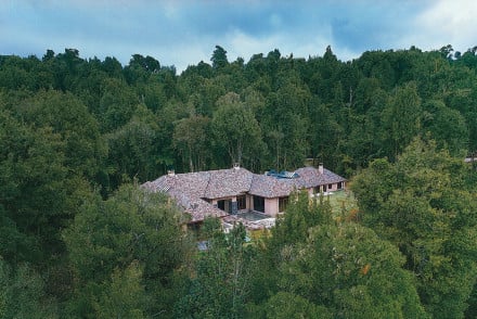 Treetops Lodge and Estate