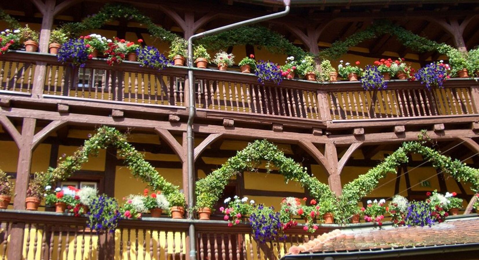 Photo of Luis & Hezelhof