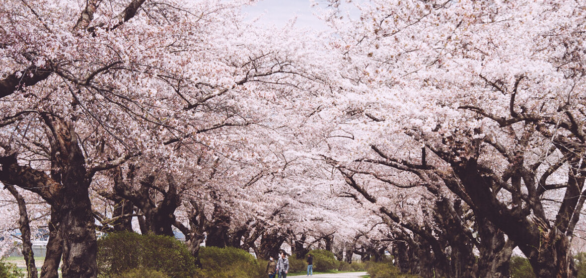 Photo of Iwate