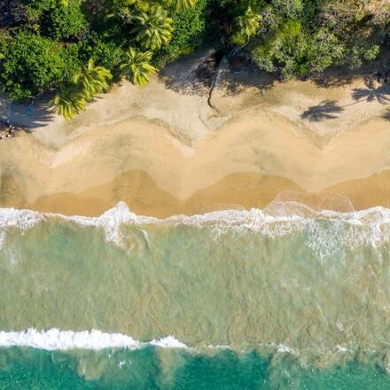 Los Mejores Hoteles de Playa en Tobago