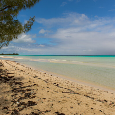 Grand Bahama, Caribbean