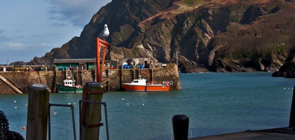 Photo of Ilfracombe