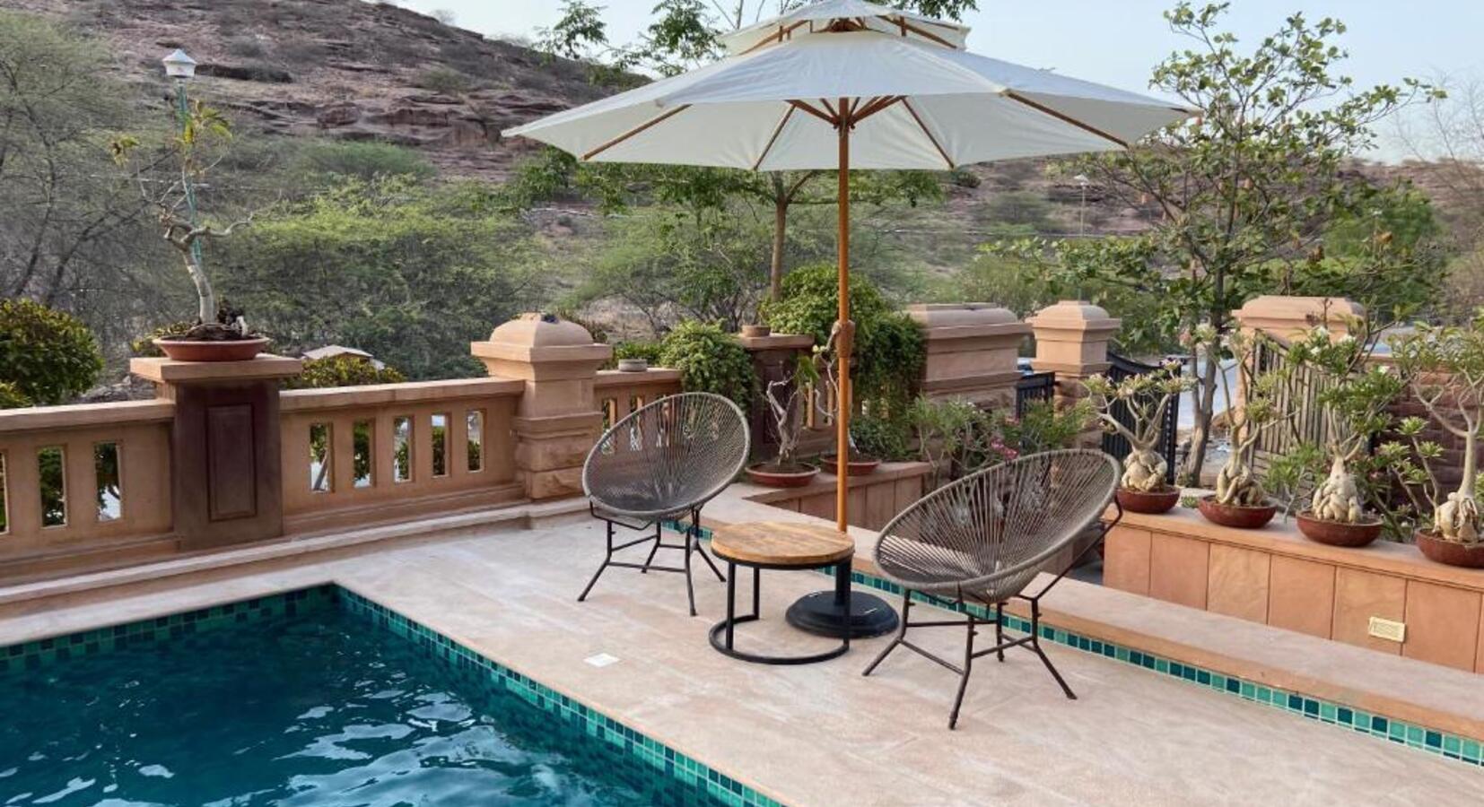 Photo of The Almond Tree