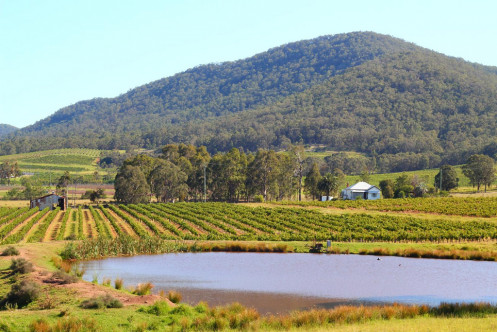 Hunter Valley