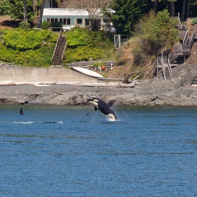 San Juan Islands hotels