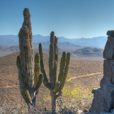 Todos Santos, Mexico