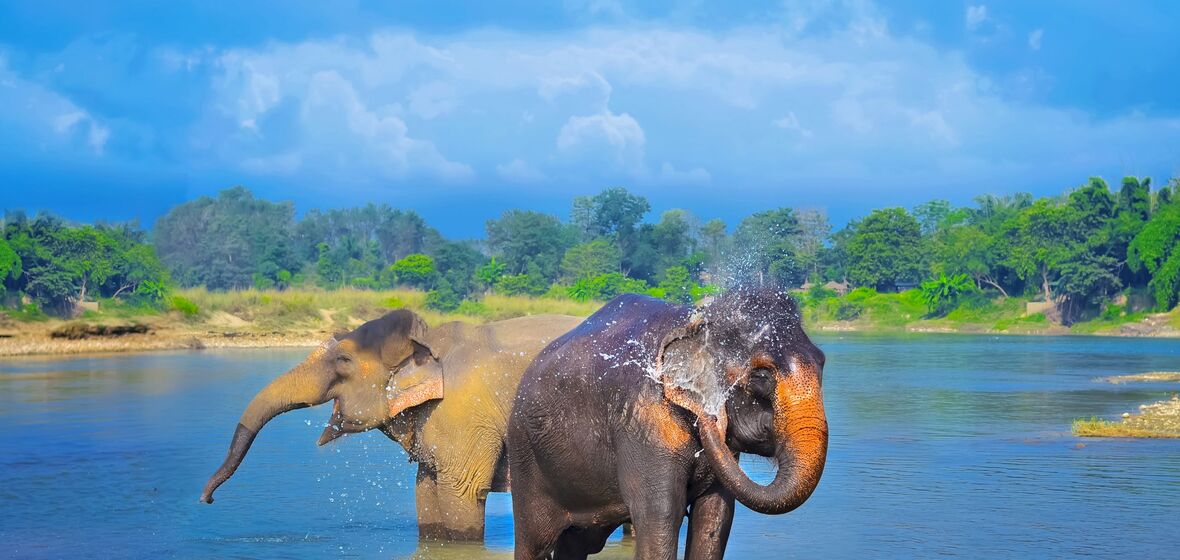 Foto de Distrito de Chitwan