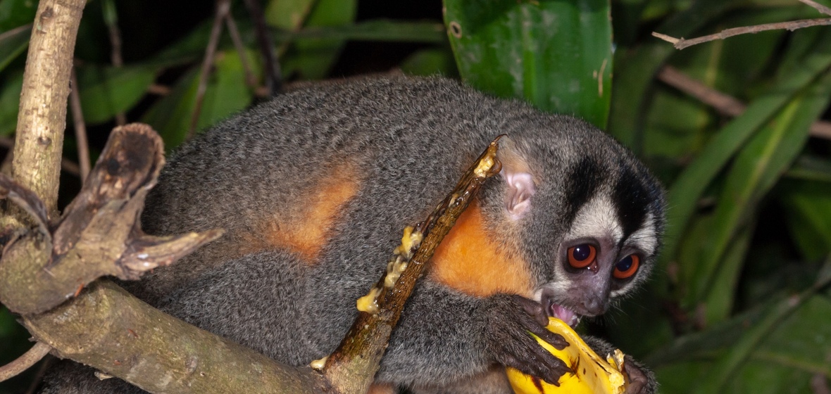 Photo de Puerto Maldonado