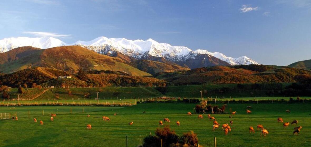 Photo of Kaikoura