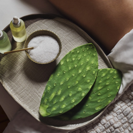 10 Scottsdale Spa Resorts and Hotels