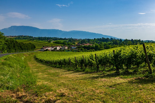 Veneto countryside