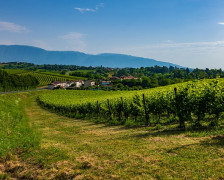 Wine hotels in Veneto