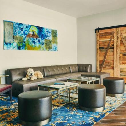 Pet Friendly Hotels in Charlottesville