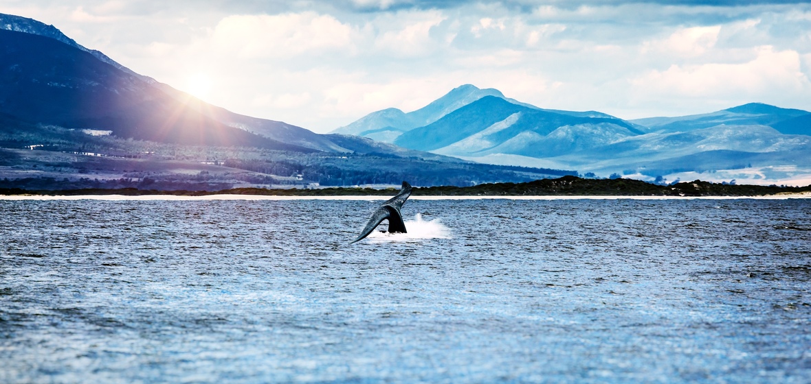 Foto de Hermanus