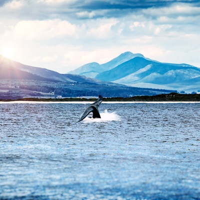 Hermanus, Sudáfrica