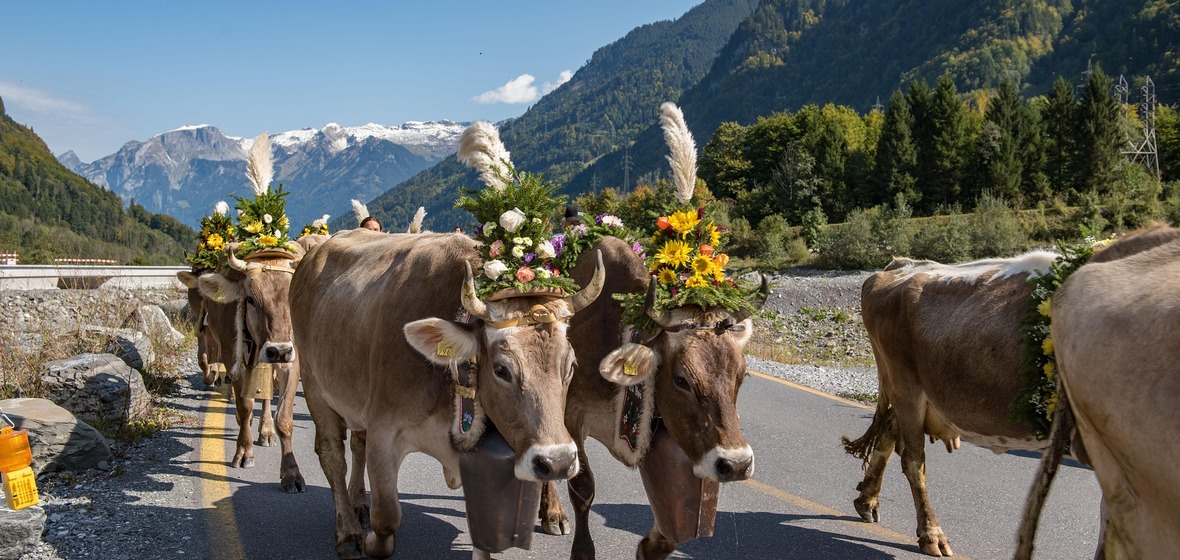 Foto de Cantón de Glaris