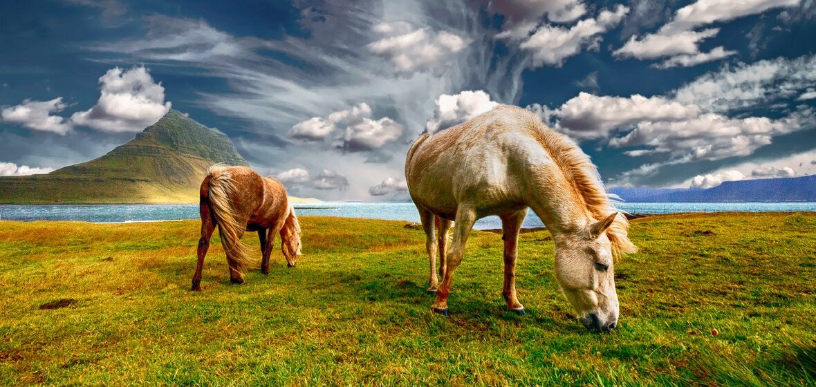 Photo de Islande