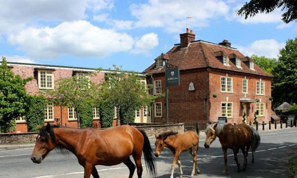 The Bell Inn