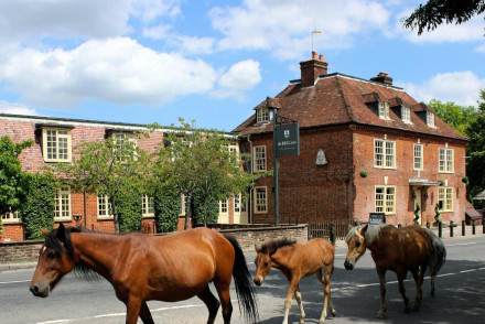 The Bell Inn, Hampshire